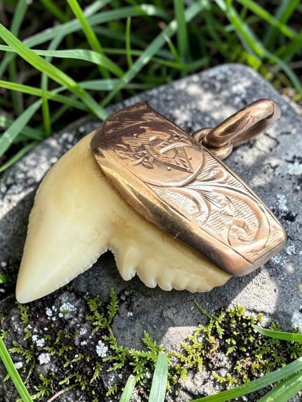 Vintage 9ct Gold Shark Tooth Pendant - Picture 4 of 7